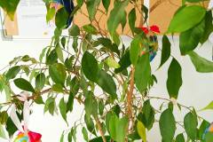 657709850_2462606344196104_7647564112038073727_n