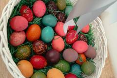 666208498_2462606414196097_4173795712866921854_n